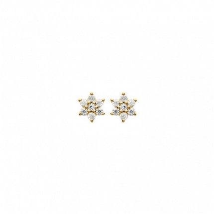 Boucles D'Oreilles Puces Fleur Zircon Plaqu Or