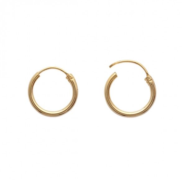 Gold Plated Hoops 16mm/2mm.