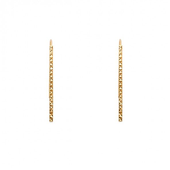 Gold Plated Earings hook shape 2mm/48mm.