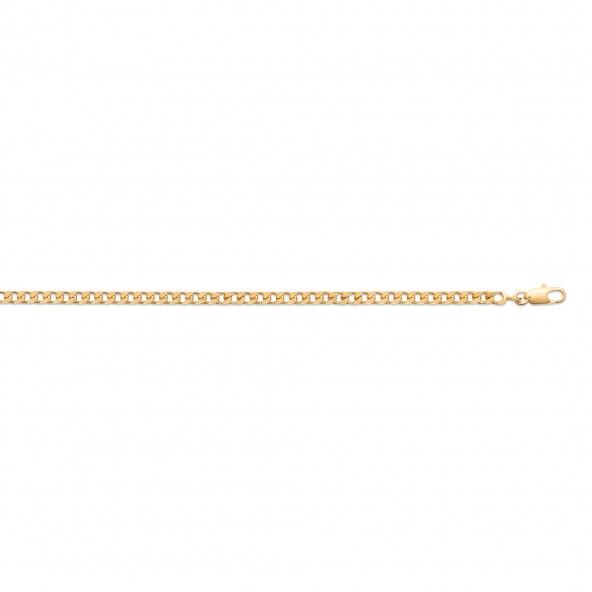Gold Plated Barbela Chain 55cm